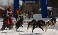 2009-03-14, Competition de traineaux a chiens au Bec-scie (112636)